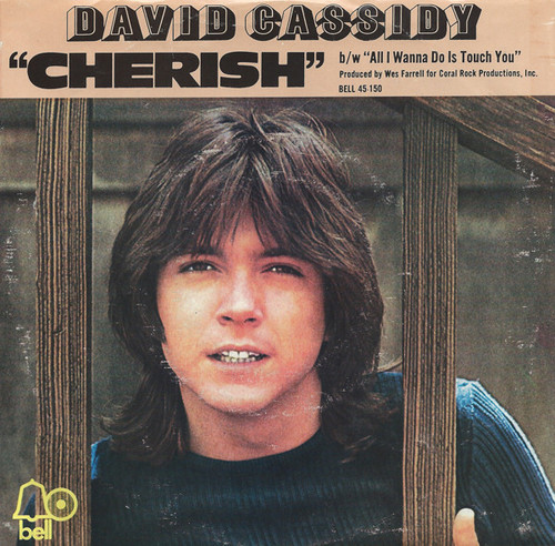 David Cassidy - Cherish / All I Wanna Do Is Touch You (7", Bes)