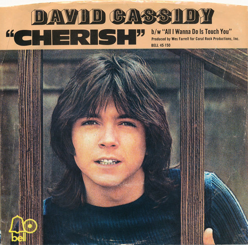 David Cassidy - Cherish / All I Wanna Do Is Touch You (7", Single, Styrene, Pit)