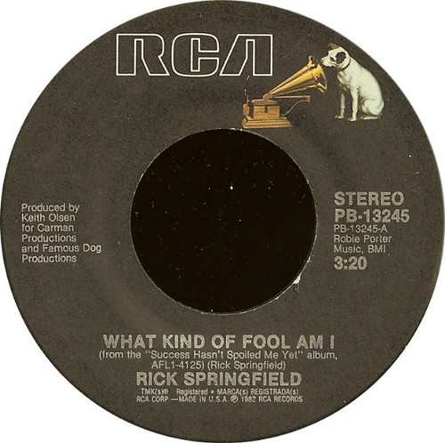 Rick Springfield - What Kind Of Fool Am I (7", Single, Styrene, Ind)