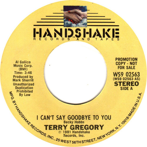 Terry Gregory - I Can't Say Goodbye To You (7", Promo)