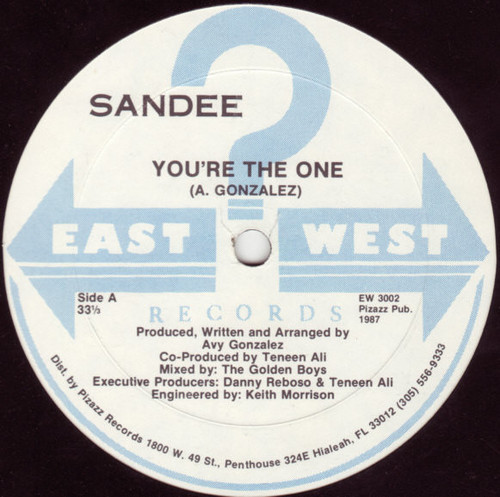 Sandee - You're The One (12")