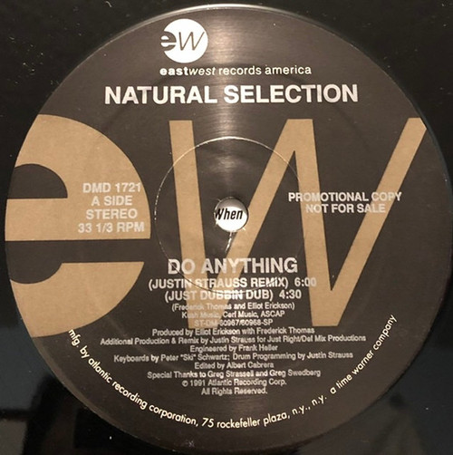 Natural Selection - Do Anything (12", Promo)