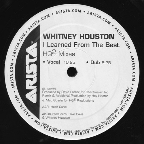 Whitney Houston - I Learned From The Best (HQ² Mixes) (12", Promo)