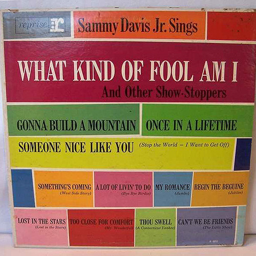 Sammy Davis Jr. - Sammy Davis Jr. Sings What Kind Of Fool Am I And Other Show-Stoppers - Reprise Records - R-6051 - LP, Album, Mono 884740526