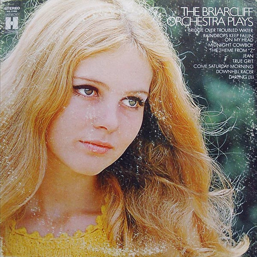 The Briarcliff Orchestra - The Briarcliff Orchestra Plays (LP, Album)