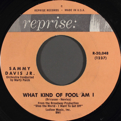Sammy Davis Jr. - What Kind Of Fool Am I / Gonna Build A Mountain - Reprise Records - R-20,048 - 7", Styrene, Mon 913649371