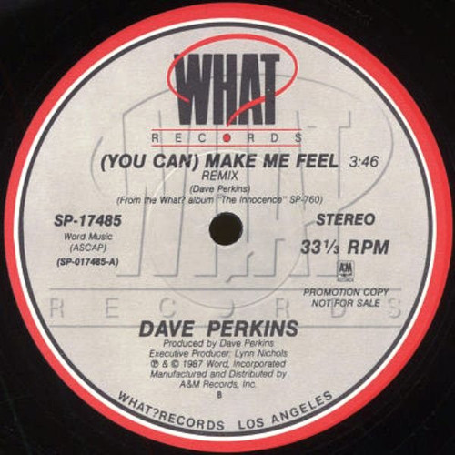 Dave Perkins - (You Can) Make Me Feel (Remix) (12", Promo)