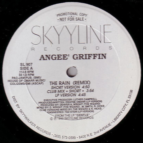 Angeé Griffin* - The Rain (Remix) (12", Promo)