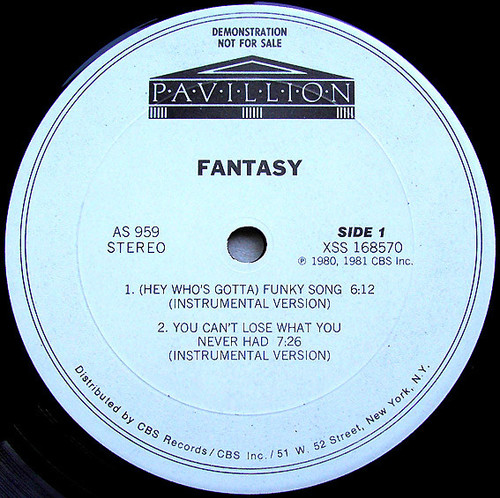 Fantasy (2) - (Hey Who's Gotta) Funky Song (12", Promo)