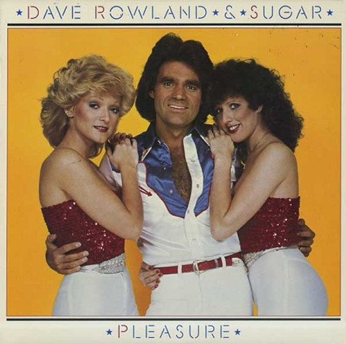 Dave And Sugar - Pleasure - Elektra - 5E-525 - LP 941995376