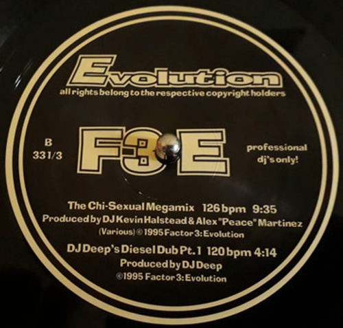 Various - Evolution 2 (12", Promo, Unofficial)