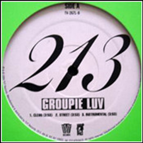 213 - Groupie Luv (12", Single)