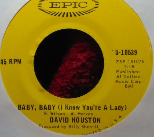 David Houston - Baby, Baby (I Know You're A Lady) / True Love's A Lasting Thing (7", Single, San)