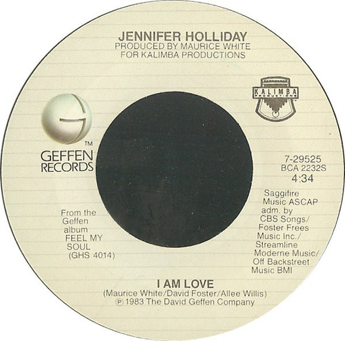 Jennifer Holliday - I Am Love (7", Single, All)