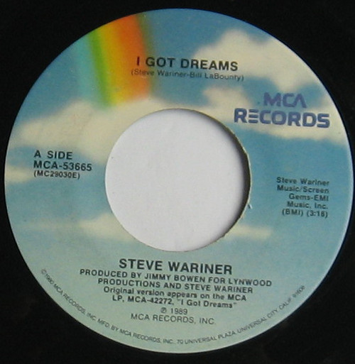 Steve Wariner - I Got Dreams (7", Pin)