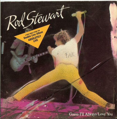 Rod Stewart - Guess I'll Always Love You / Rock My Plimsoul - Warner Bros. Records, Warner Bros. Records - 7-29874, 9 29874-7 - 7", Styrene 1092173091