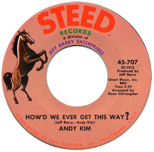 Andy Kim - How'd We Ever Get This Way? - Steed Records - 45-707 - 7", Single 1094784316