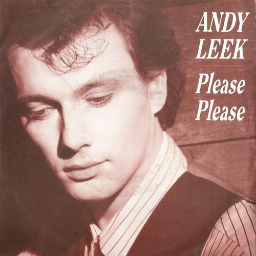 Andy Leek - Please Please (7")