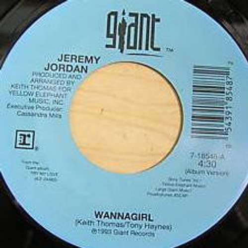 Jeremy Jordan - Wannagirl (7")