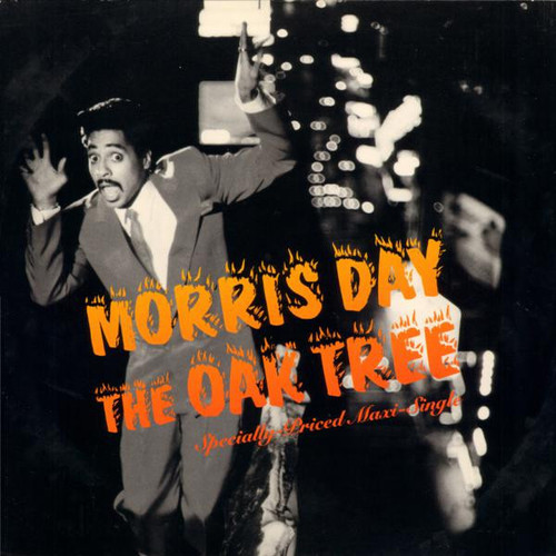 Morris Day - The Oak Tree - Warner Bros. Records, Warner Bros. Records - 9 20379-0, 0-20379 - 12", Maxi 1150062195