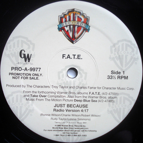 F.A.T.E. - Just Because (12", Promo)