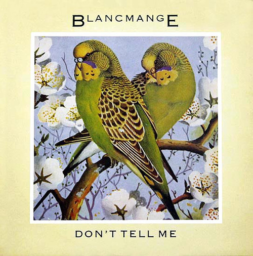 Blancmange - Don't Tell Me (12", Single)