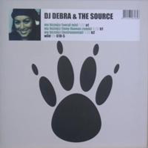 DJ Debra & The Source (9) - My Bizznizz (12")