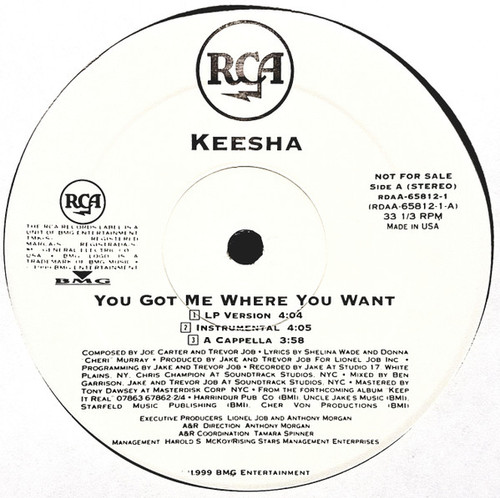 Keesha - You Got Me Where You Want (12", Promo)