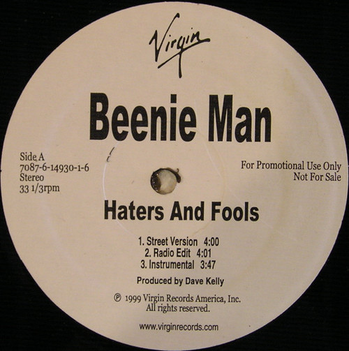 Beenie Man - Haters And Fools / Analyze This (12", Promo)