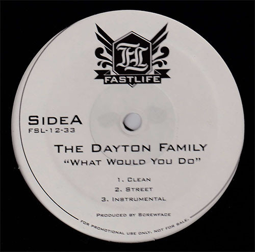 The Dayton Family - What Would You Do (12", Promo)