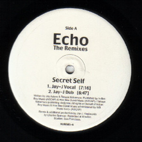 Echo (3) - The Remixes (12")