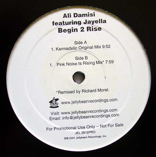 Ali Damisi Featuring Jayella - Begin 2 Rise (2x12", Promo)