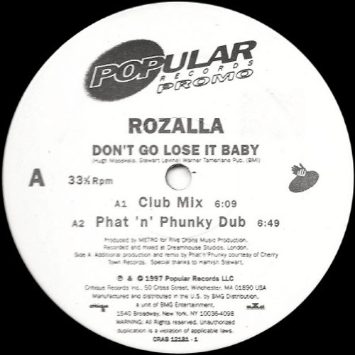 Rozalla - Don't Go Lose It Baby (12", Promo)