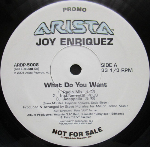 Joy Enriquez - What Do You Want (12", Promo)