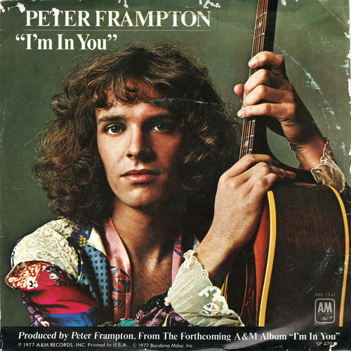 Peter Frampton - I'm In You - A&M Records, A&M Records - 1941-S, AM 1941 - 7", Single 1202365529