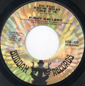 P-Nut Gallery - Do You Know What Time It Is? (7", Single)