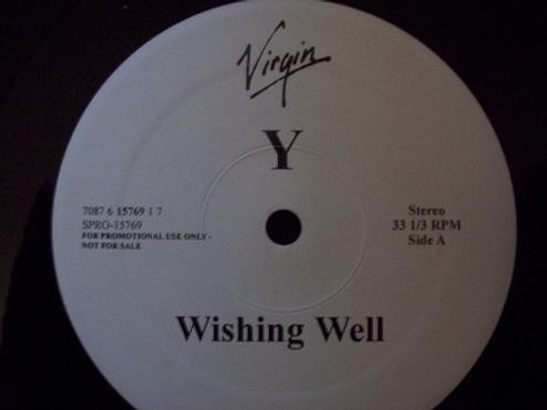 Y* - Wishing Well (12", Promo)
