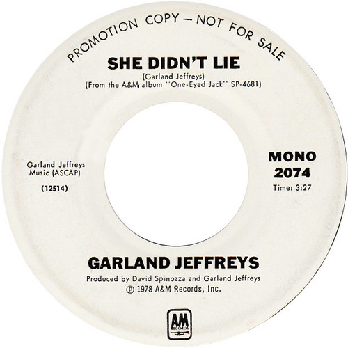 Garland Jeffreys - She Didn't Lie (7", Mono, Promo)