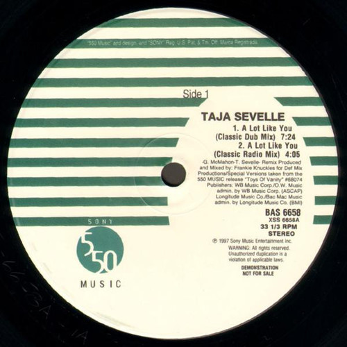 Taja Sevelle - A Lot Like You (12", Promo)