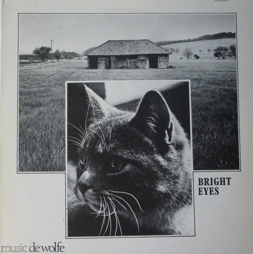 Nick Ingman - The Clearwater Ensemble - Bright Eyes - Music De Wolfe - DWS/LP 3477 - LP 1568204596