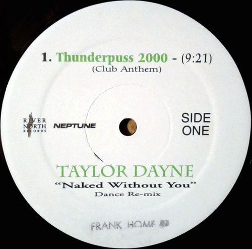 Taylor Dayne - Naked Without You (Dance Re-Mix) - River North Records - 47171 - 12", Promo 1806846028