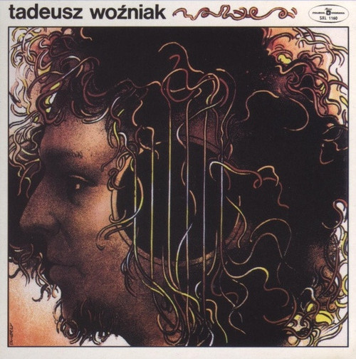 Tadeusz Woźniak - Odcień Ciszy (LP, Album)