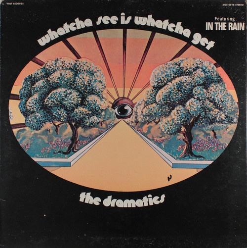 The Dramatics - Whatcha See Is Whatcha Get (LP, Album, ARP)