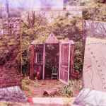 The Marcus King Band - Carolina Confessions (CD, Album)