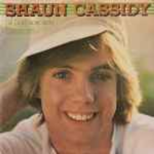 Shaun Cassidy - Shaun Cassidy (LP, Album, Los)