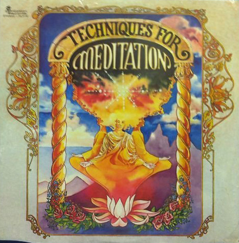 Johnny Temple (3) & Tom Mains - Techniques For Meditation (LP, Album)