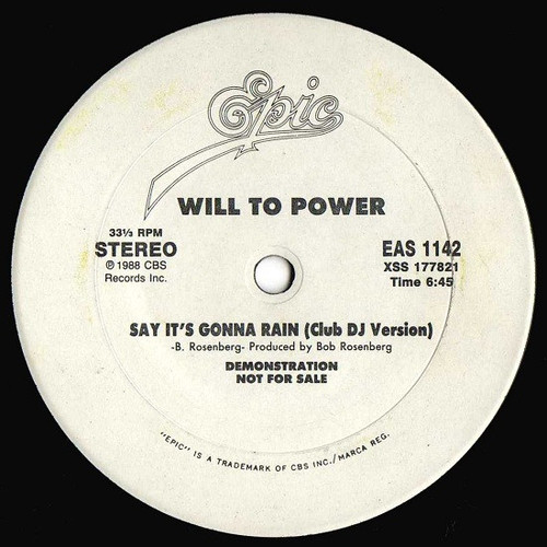 Will To Power - Say It's Gonna Rain (12", Promo)