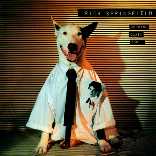 Rick Springfield - Working Class Dog - RCA Victor, RCA, RCA - AFL1-3697, AFLI-3697 - LP, Album, Ind 2296695004