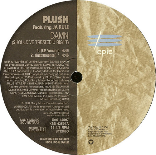 So Plush Featuring Ja Rule - Damn (Should've Treated U Right) - Epic - EAS 42597 - 12", Promo 2387170312