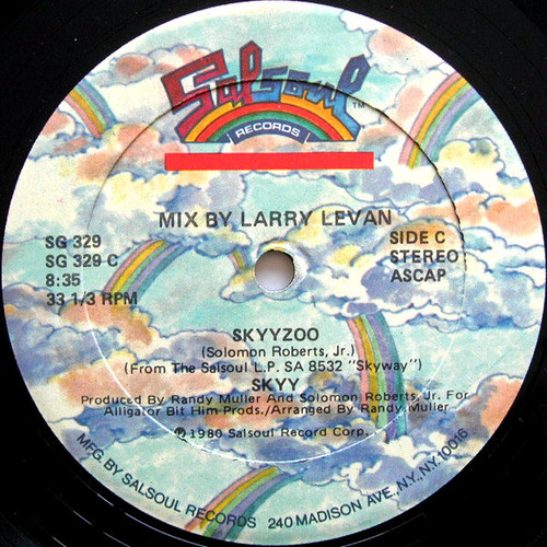 Skyy - Skyyzoo - Salsoul Records - SG 329 - 12" 2356043344